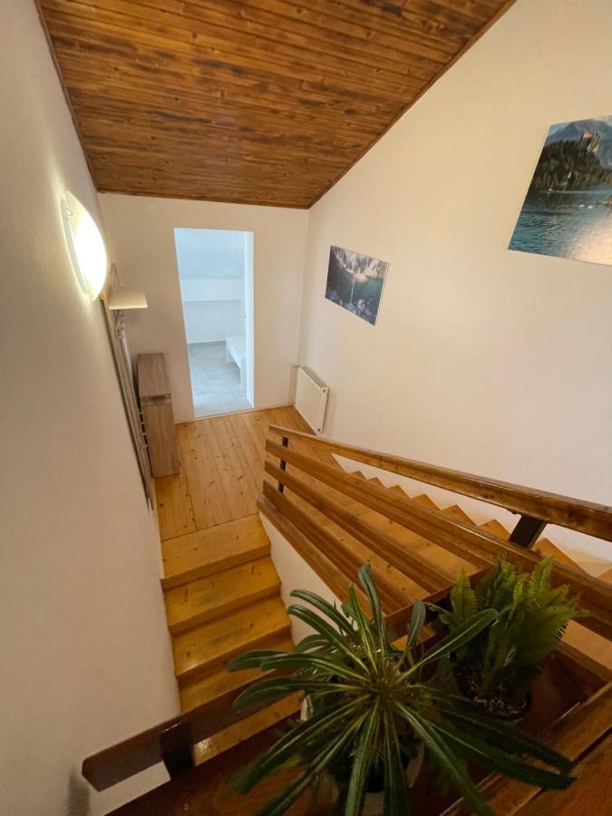 Sava River House - Apartments 布莱德 外观 照片