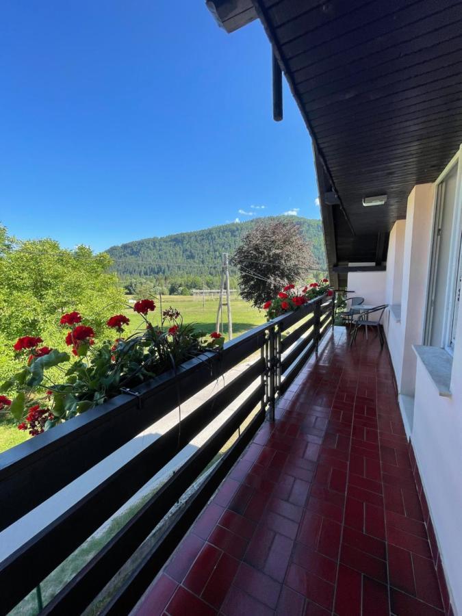 Sava River House - Apartments 布莱德 外观 照片
